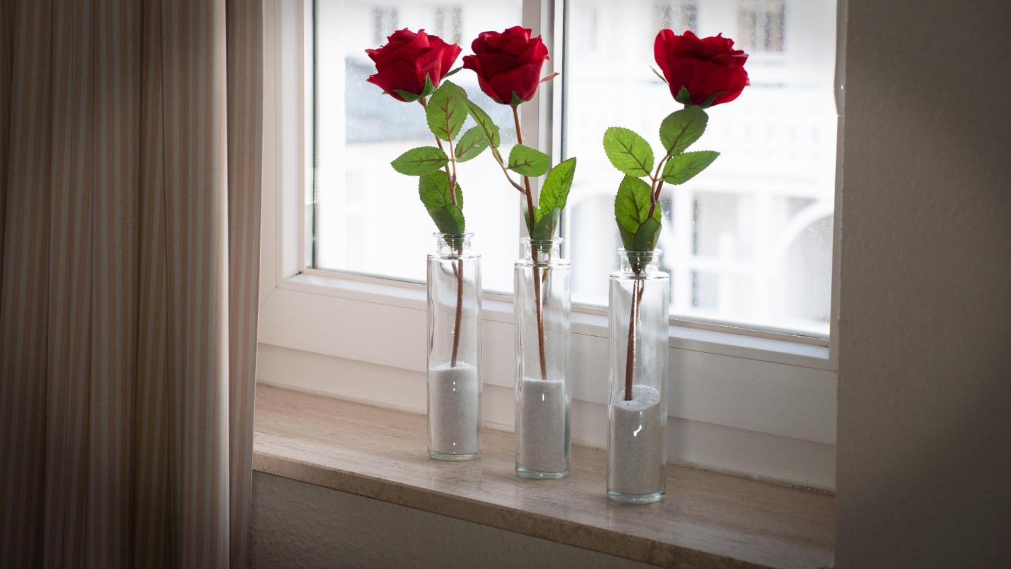 Sehnsucht Ruegen Ferienappartements ゼリン 部屋 写真
